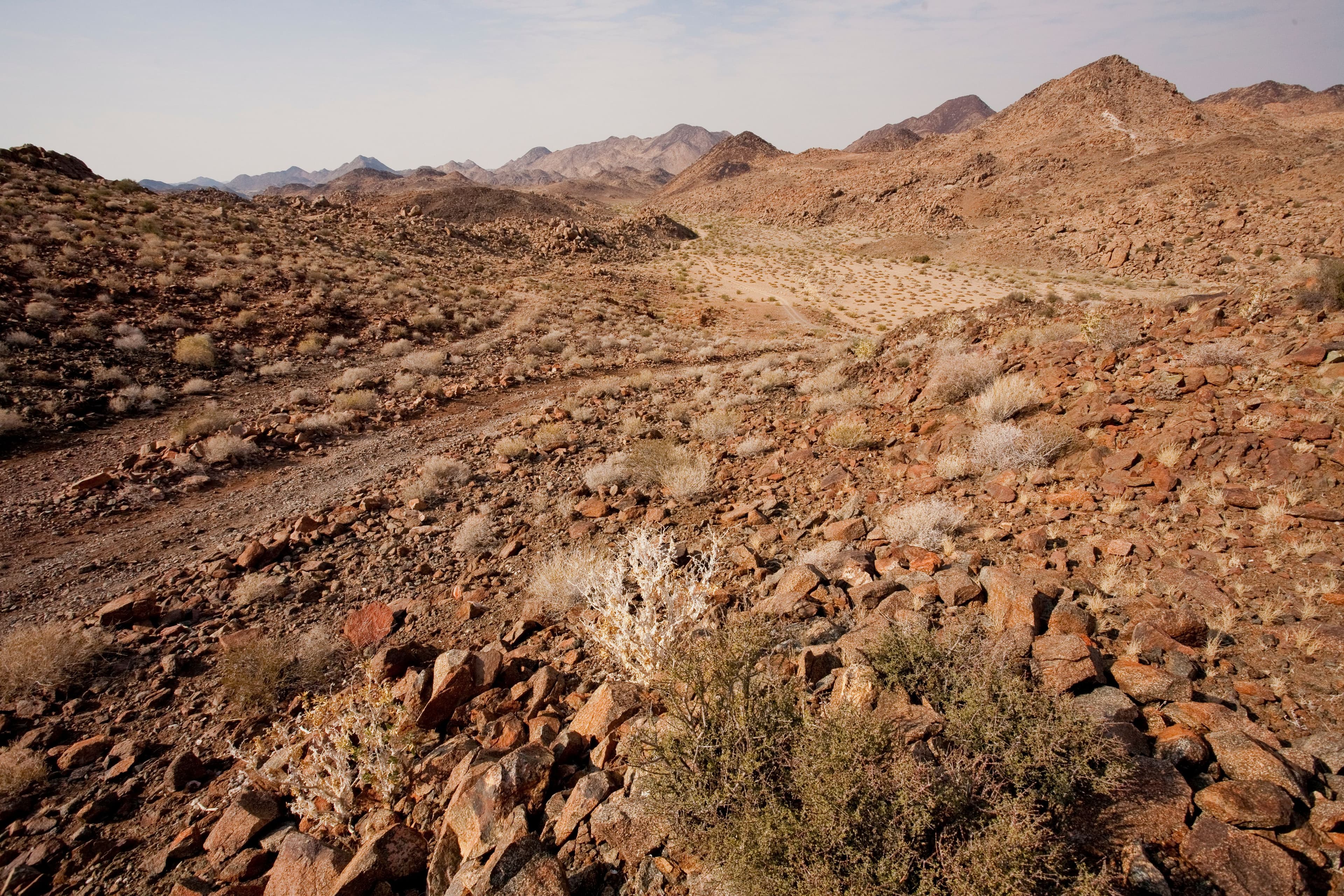 Damaraland