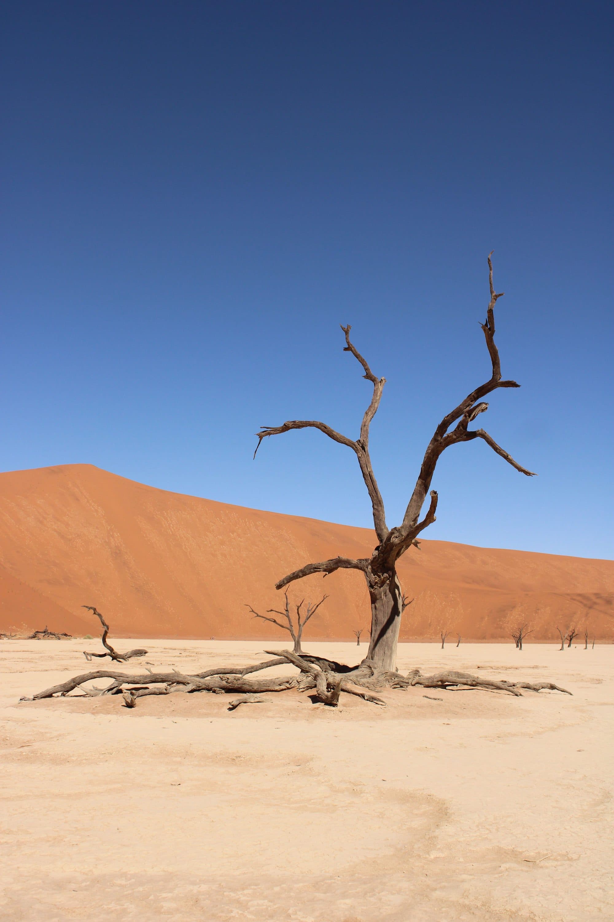 Sossusvlei & Namib Naukluft