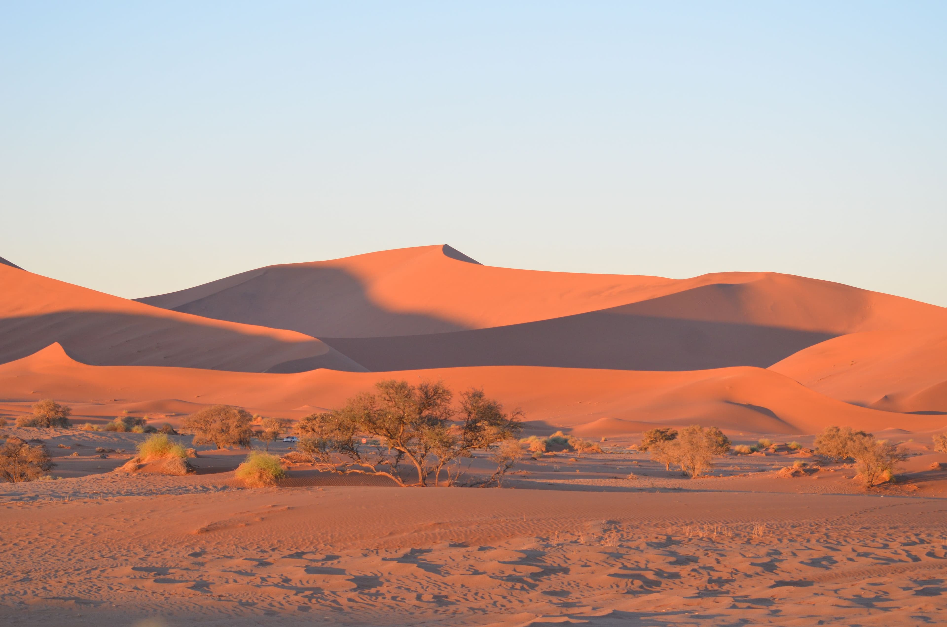 Van Etosha tot het zuiden in 10 dagen